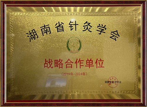 湖南省針灸學會戰功略合作單位